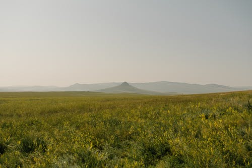 在夏天反对雾山绿色的田野 · 免费素材图片