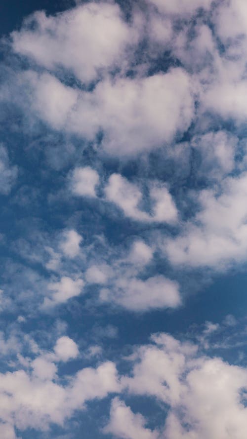 有关垂直拍摄, 清澈的蓝天, 漂亮的免费素材图片