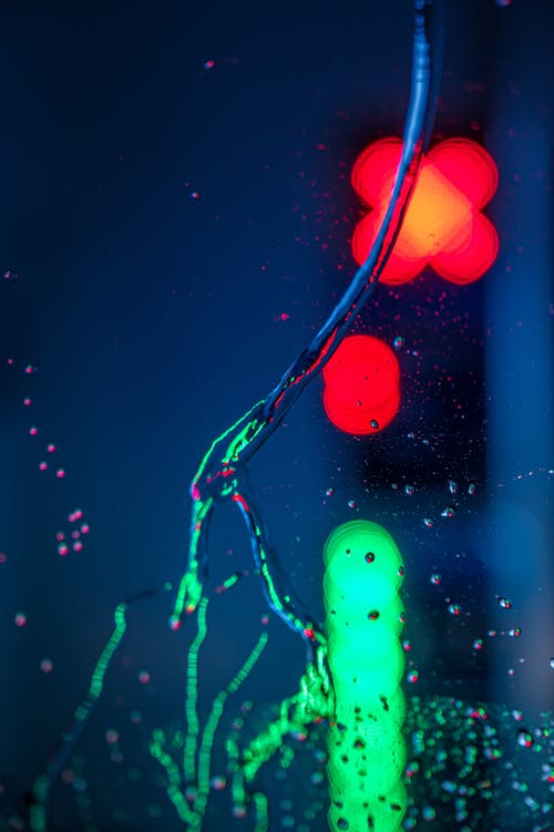 蓝绿色和红色光 · 免费素材图片