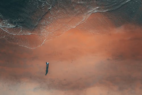 有关休息, 佩服, 俯视图的免费素材图片