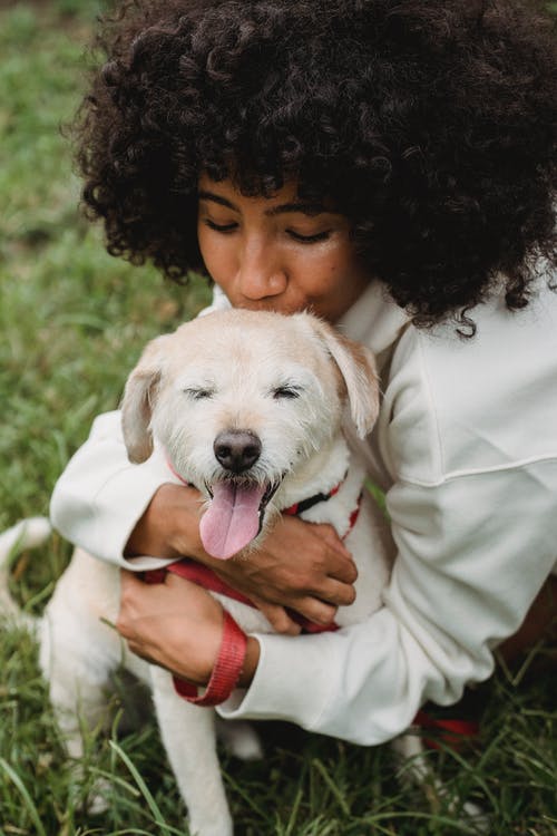 黑人妇女在公园亲吻狗 · 免费素材图片