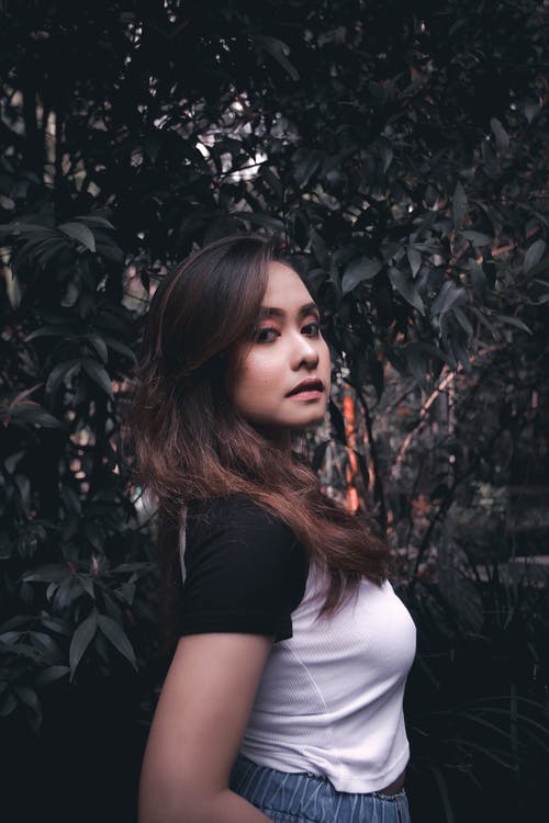 穿黑色和白色衬衫，站在树旁的女人 · 免费素材图片