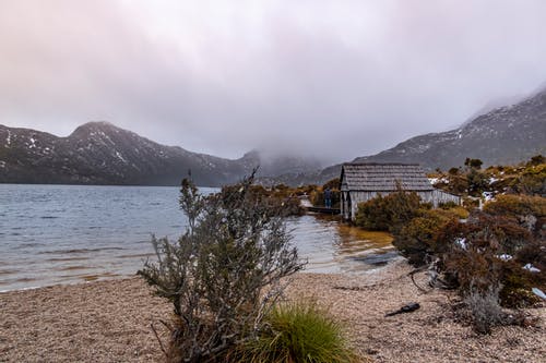 有关冬季, 塔斯马尼亚, 天性的免费素材图片