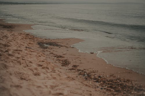 有关和平的, 地平线, 坏心情的免费素材图片