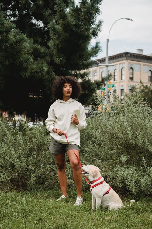 有服从的狗的愉快的年轻黑人夫人站立在象草的草坪在公园 · 免费素材图片