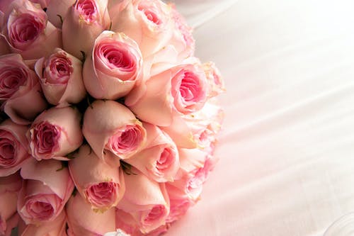 粉红和白玫瑰花束 · 免费素材图片