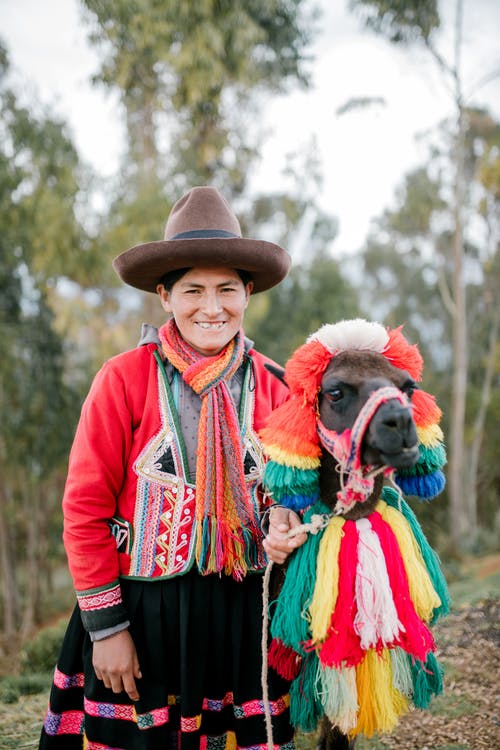 微笑的盖丘亚族女人和可爱的喇嘛与自然多彩t子配件 · 免费素材图片