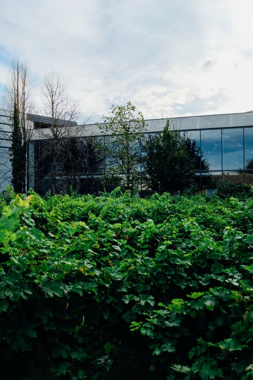 有关住, 住所, 公园的免费素材图片