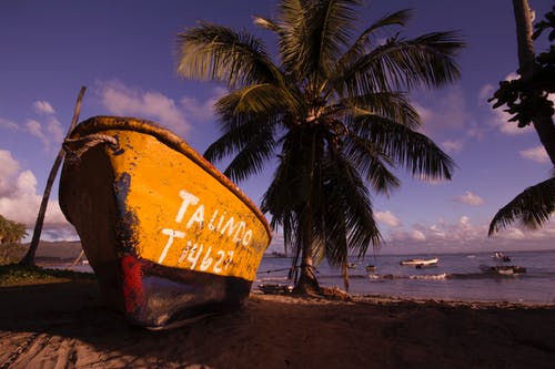 棕色和黑色的小船在岸边附近的椰子树在蓝蓝的天空和云彩下 · 免费素材图片