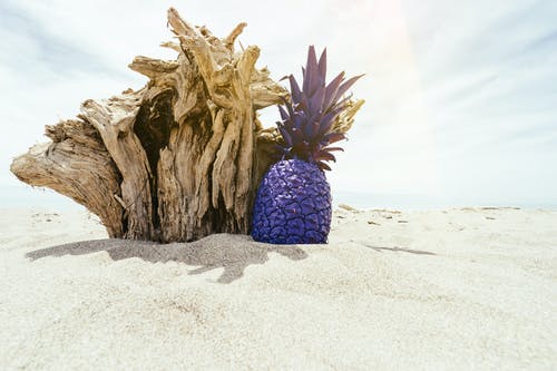紫菠萝沙 · 免费素材图片