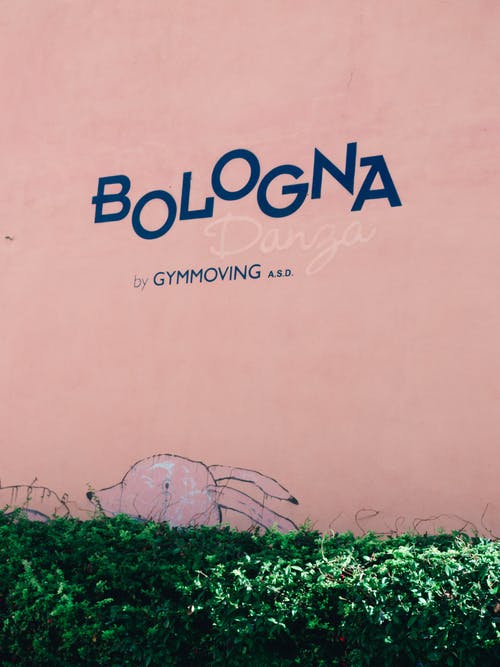 墙上的博洛尼亚标志 · 免费素材图片