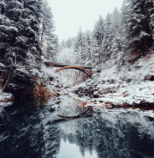 桥覆盖着雪 · 免费素材图片