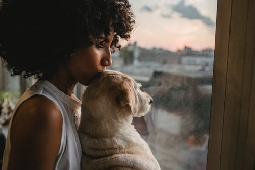 作物黑女人亲吻可爱的狗 · 免费素材图片