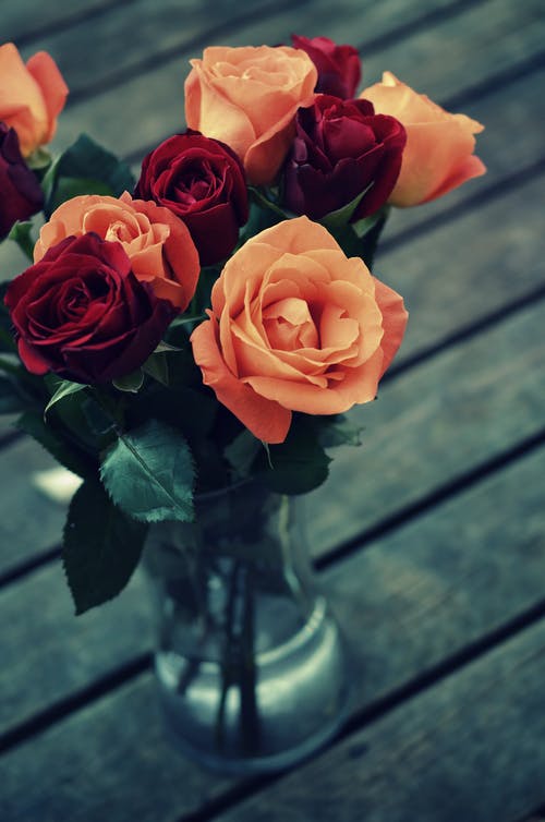 透明玻璃花瓶中的红色和橙色玫瑰 · 免费素材图片