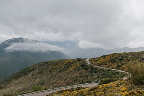 穿过长满草和灌木的丘陵地带的道路 · 免费素材图片