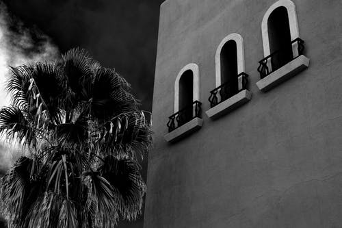 混凝土建筑旁边的棕榈树 · 免费素材图片