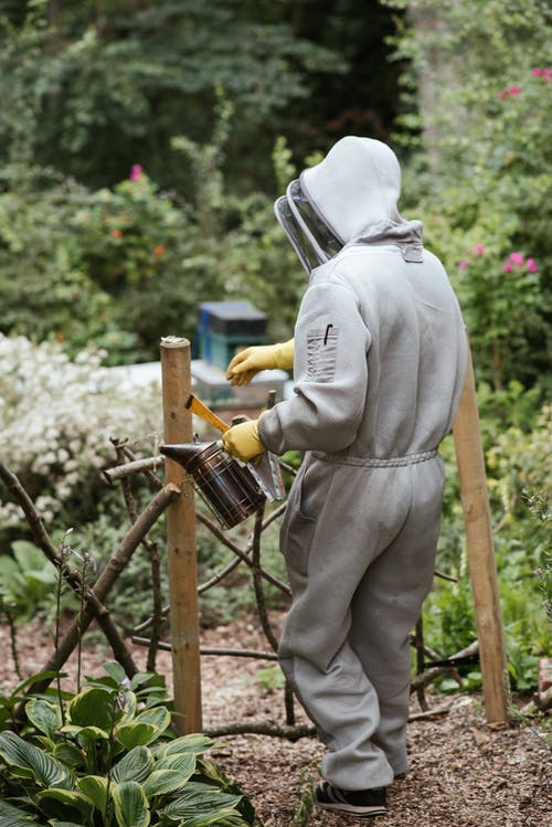 养蜂人与设备进入养蜂场 · 免费素材图片