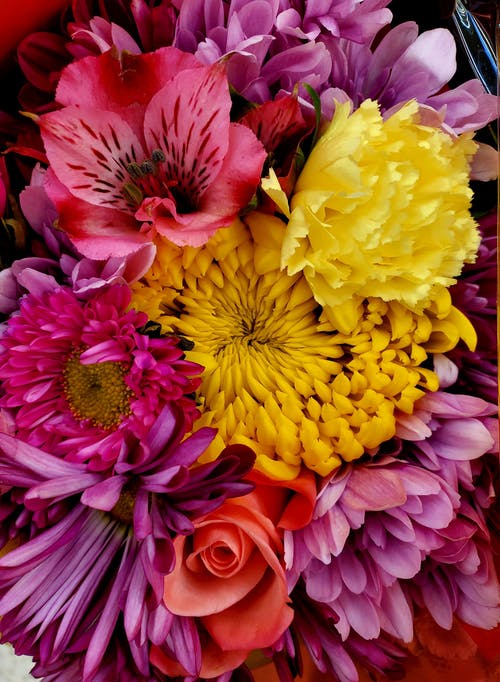 有关垂直拍摄, 插花, 植物群的免费素材图片