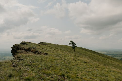 多云的天空下绿色山上棵孤独的树 · 免费素材图片