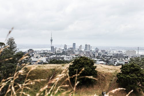 有关伊甸山, 城市, 天际线的免费素材图片