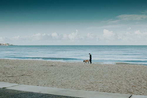人和狗在沙滩线上行走 · 免费素材图片
