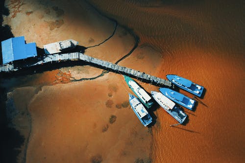 港口的五艘青花船 · 免费素材图片