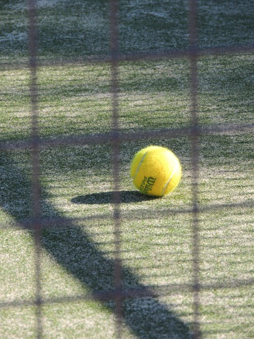 白天在绿草中的网球 · 免费素材图片