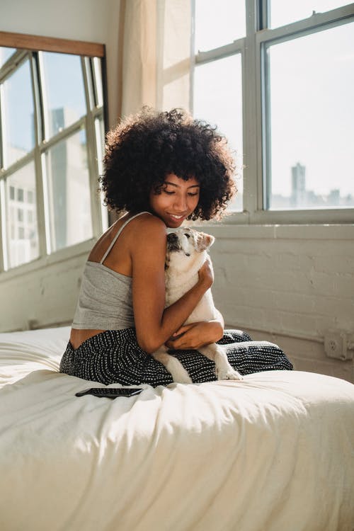 微笑的黑女人拥抱纯种狗在床上 · 免费素材图片