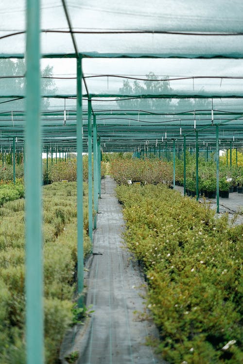 有关农艺学, 划船, 园艺的免费素材图片