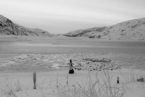 有关下雪的, 全景, 冬季的免费素材图片