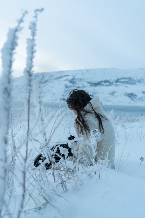 有关冬季, 冷, 冷冻的免费素材图片