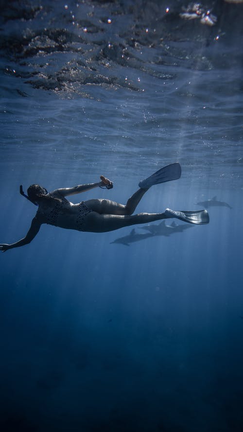 匿名女潜水员与海豚在海里游泳 · 免费素材图片