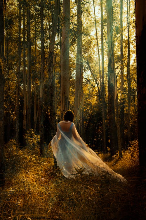 一件蓝色的连衣裙，走在森林里的女人 · 免费素材图片