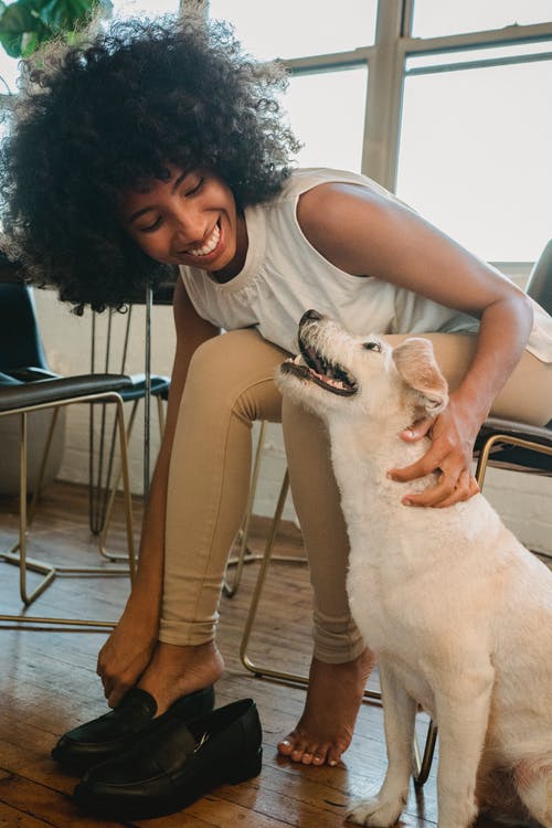 幸福的女人在家里穿衣服时抚摸着狗 · 免费素材图片