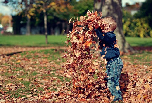 男孩玩秋叶在户外 · 免费素材图片