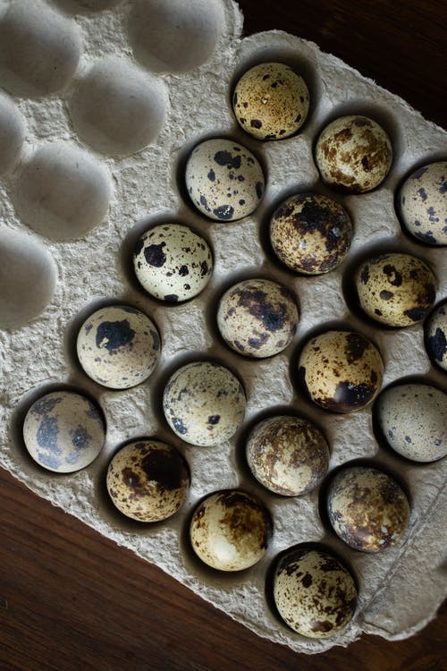 有关垂直拍摄, 特写, 蛋托盘的免费素材图片