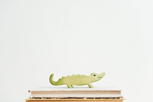 书上的绿色鳄鱼 · 免费素材图片