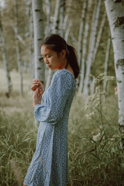 站立在有桦树的森林里的礼服的镇静种族妇女 · 免费素材图片