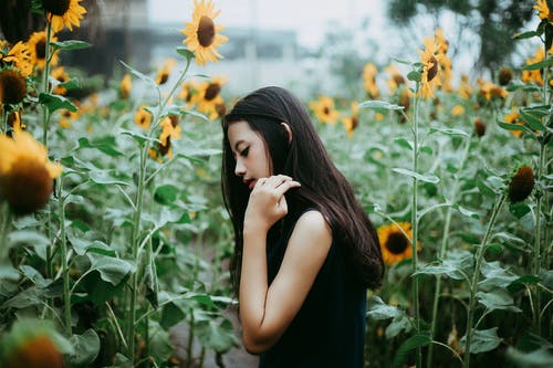 女人站在向日葵附近的照片 · 免费素材图片