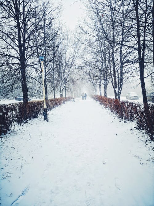 在积雪覆盖的道路上行走的人 · 免费素材图片