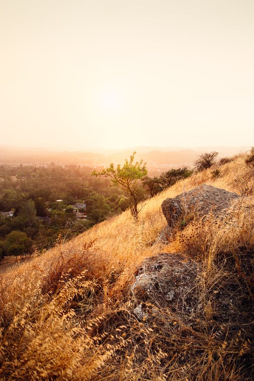 有关乾燥, 光, 冷静的免费素材图片