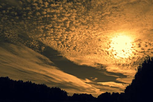 白多云的天空下的黄金时间 · 免费素材图片