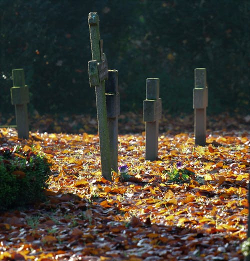 秋天的树叶在墓地上 · 免费素材图片