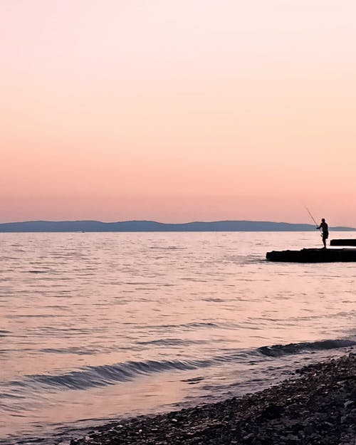有关剪影, 垂直拍摄, 户外的免费素材图片