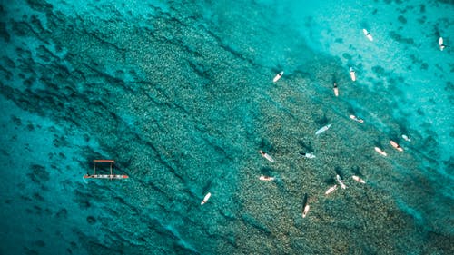 在蔚蓝的大海，在阳光下航行的游艇 · 免费素材图片