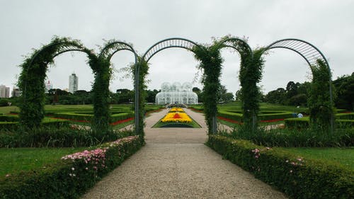 喷泉附近的花园 · 免费素材图片