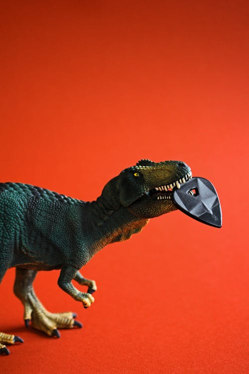 恐龙在橙色背景上的侧视图 · 免费素材图片