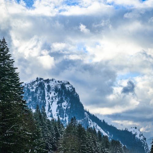 有关不变, 低角度, 冬季的免费素材图片