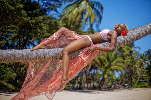 女人躺在椰子树上的浅焦点照片 · 免费素材图片