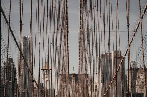 棕色和白色建筑 · 免费素材图片